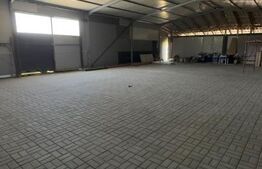 Spațiu industrial de închiriat Livezeni, Târgu Mureș