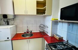 Apartament cu 1 cameră, 27 mp, zona Tudor 