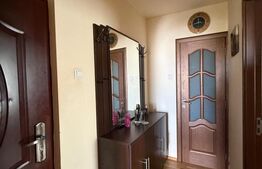 Apartament de vazare, 48 mp, Cartierul Dâmbu Pietros