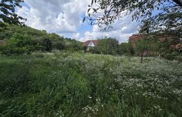 Casă cu două corpuri, 63 mp, zona Chinari