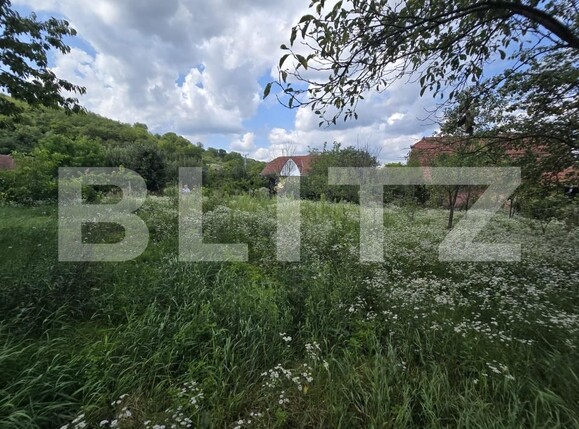Casa de vânzare 2 camere Chinari - 201700CV | BLITZ Târgu Mureș | Poza13