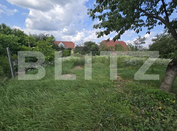 Casa de vânzare 2 camere Chinari - 201700CV | BLITZ Târgu Mureș | Poza14