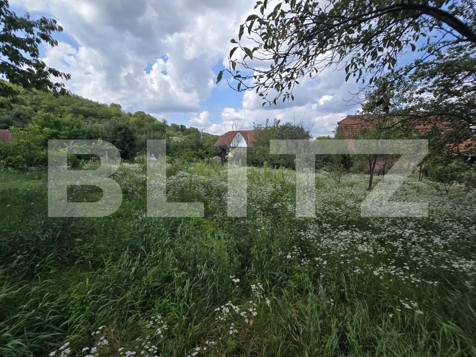 Casa de vânzare 2 camere Chinari - 201700CV | BLITZ Târgu Mureș | Poza13