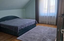 Casă mobilată și utilată, 318 mp, zona Ludus