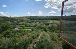 Casă și livadă de vânzare, 150 mp, zona Grebenișu de Câmpie