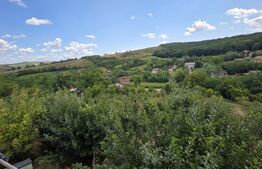 Casă și livadă de vânzare, 150 mp, zona Grebenișu de Câmpie