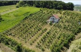 Casă și livadă de vânzare, 150 mp, zona Grebenișu de Câmpie