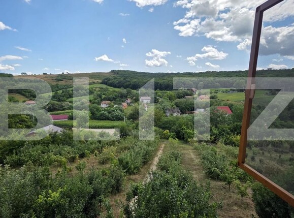 Casa de vânzare 5 camere Grebenisu de Campie - 201790CV | BLITZ Târgu Mureș | Poza12