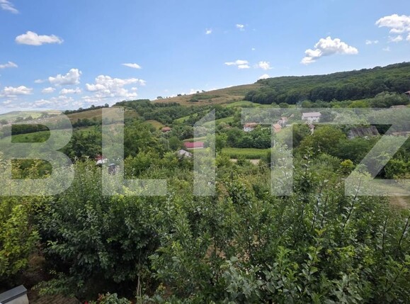 Casa de vânzare 5 camere Grebenisu de Campie - 201790CV | BLITZ Târgu Mureș | Poza20