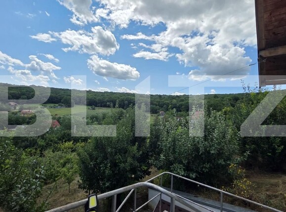 Casa de vânzare 5 camere Grebenisu de Campie - 201790CV | BLITZ Târgu Mureș | Poza19