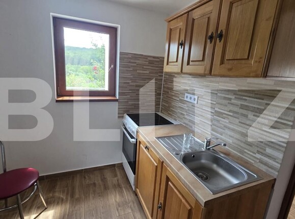 Casa de vânzare 5 camere Grebenisu de Campie - 201790CV | BLITZ Târgu Mureș | Poza14