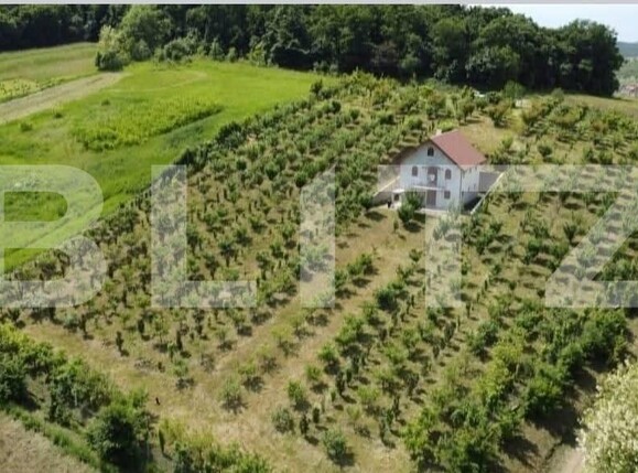 Casa de vânzare 5 camere Grebenisu de Campie - 201790CV | BLITZ Târgu Mureș | Poza23