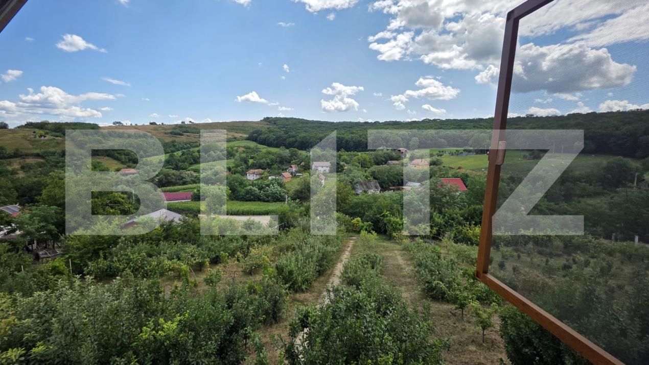 Casa de vânzare 5 camere Grebenisu de Campie - 201790CV | BLITZ Târgu Mureș | Poza12