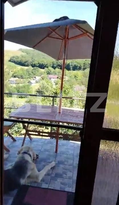 Casa de vânzare 5 camere Grebenisu de Campie - 201790CV | BLITZ Târgu Mureș | Poza22