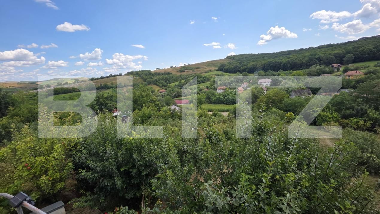 Casa de vânzare 5 camere Grebenisu de Campie - 201790CV | BLITZ Târgu Mureș | Poza20