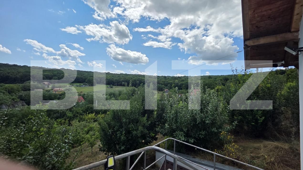 Casa de vânzare 5 camere Grebenisu de Campie - 201790CV | BLITZ Târgu Mureș | Poza19