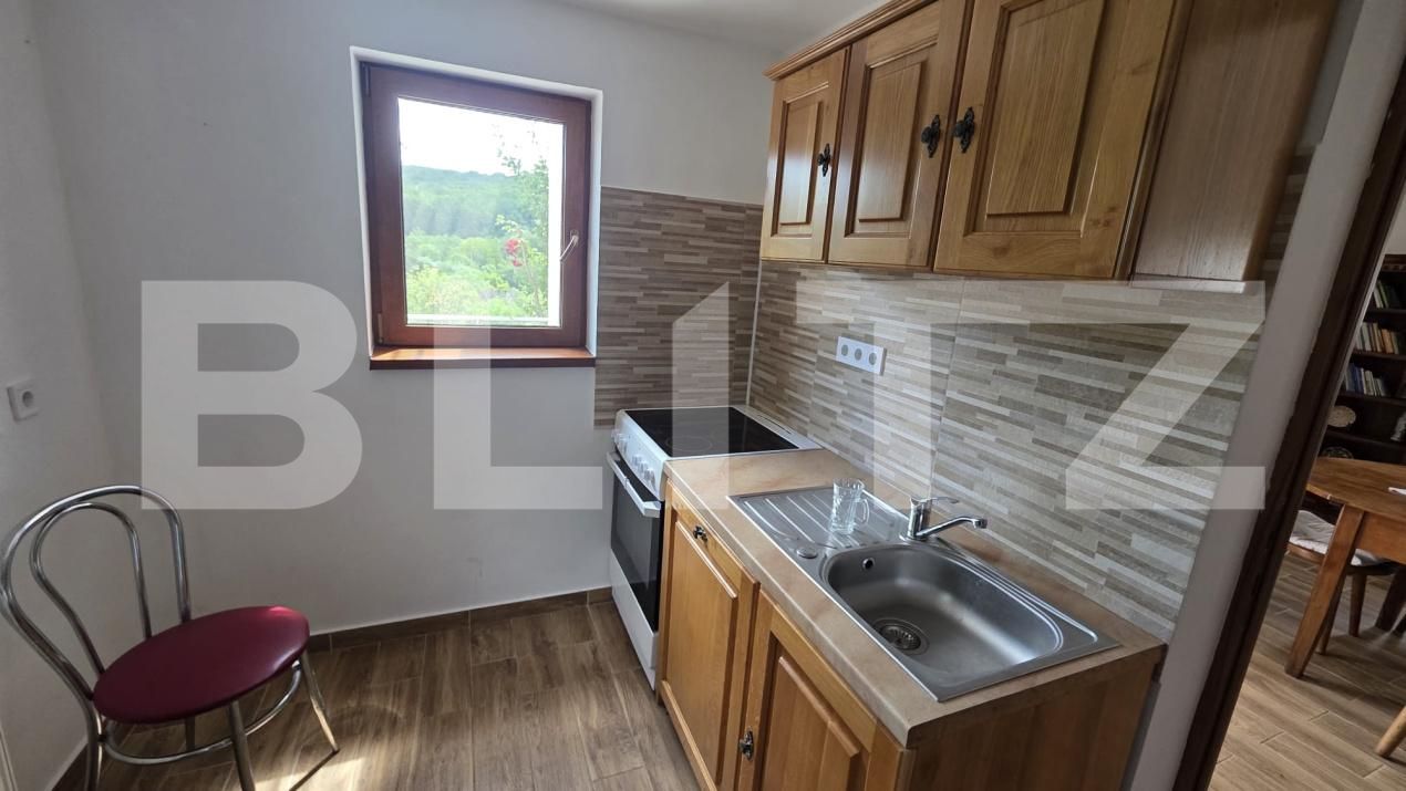 Casa de vânzare 5 camere Grebenisu de Campie - 201790CV | BLITZ Târgu Mureș | Poza14