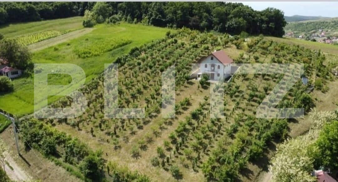 Casa de vânzare 5 camere Grebenisu de Campie - 201790CV | BLITZ Târgu Mureș | Poza23