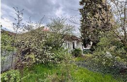 OPORTUNITATE DE DEZVOLTARE –  TG. MURES 826 MP 