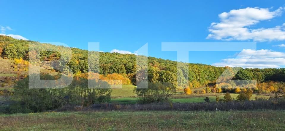 Teren de vânzare Bozeni - 201934TV | BLITZ Târgu Mureș | Poza5