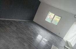 Casă de vânzare în Ceuașu de Câmpie – Teren 840 MP