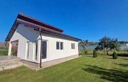 Casă de vânzare în Ceuașu de Câmpie – 840 mp teren