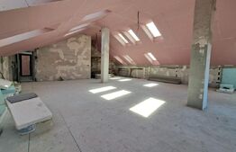 Spațiu comercial de închiriat – 238 mp, Mansardă,