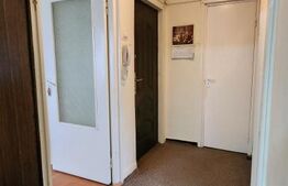 Apartament cu 3 camere, 45 mp, zona Dambu
