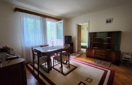 Apartament cu 3 camere, 45 mp, zona Dambu