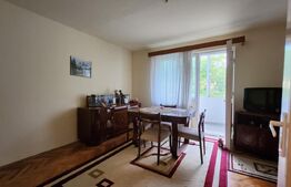 Apartament cu 3 camere, 45 mp, zona Dambu