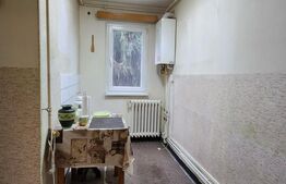 Apartament cu 3 camere, 45 mp, zona Dambu