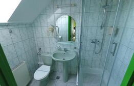 Pensiune 8 camere, restaurant de vanzare, 540 mp, Targu Mures