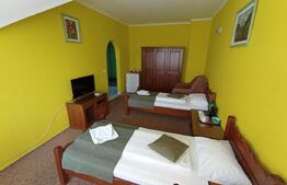 Pensiune 8 camere, restaurant de vanzare, 540 mp, Targu Mures