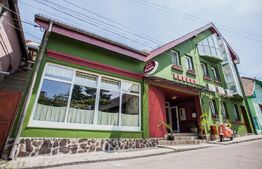 Pensiune 8 camere, restaurant de vanzare, 540 mp, Targu Mures