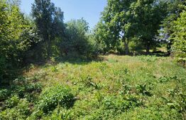 De vanzare Casa 51 mp utili, teren 534 mp in Targu Mures zona Mureseni 