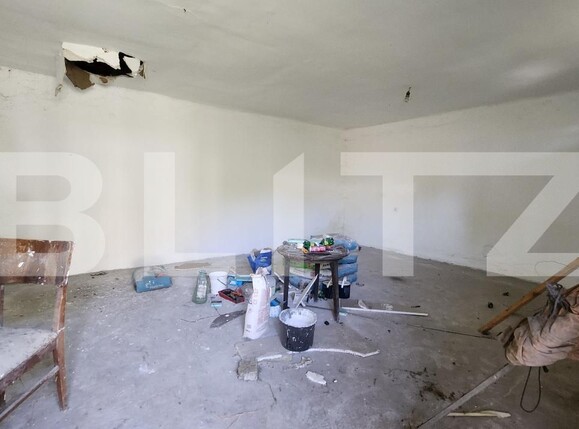 Casa de vânzare 1 camera Mureseni - 202029CV | BLITZ Târgu Mureș | Poza3
