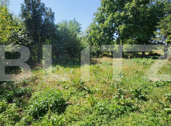 Casa de vânzare 1 camera Mureseni - 202029CV | BLITZ Târgu Mureș | Poza5
