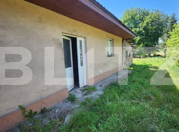 Casa de vânzare 1 camera Mureseni - 202029CV | BLITZ Târgu Mureș | Poza4