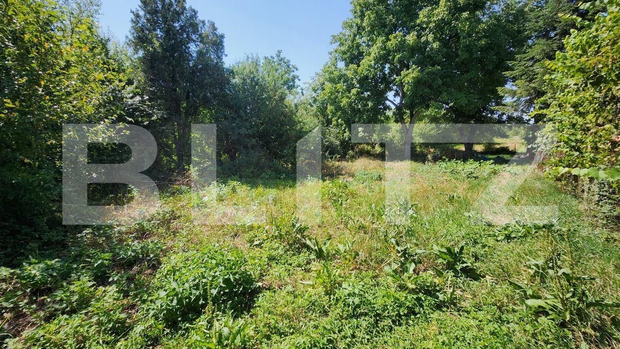 Casa de vânzare 1 camera Mureseni - 202029CV | BLITZ Târgu Mureș | Poza5