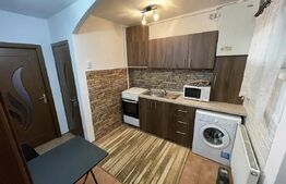 Apartament cu 1 cameră în Tudor