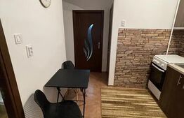 Apartament cu 1 cameră în Tudor