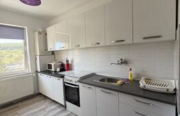 Apartament de închiriat 3 camere Tudor - 202889AI | BLITZ Târgu Mureș | Poza2