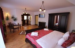 Pensiune de vanzare, 494 mp, zona Centru - Sighisoara 