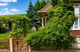 Casă individuală, 80 mp, teren de 950 mp, zona Zau de Câmpie