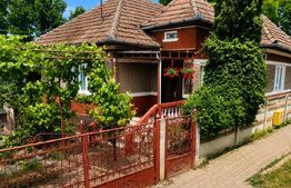 Casă individuală, 80 mp, teren de 950 mp, zona Zau de Câmpie