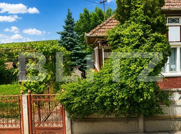 Casa de vânzare 3 camere Sarmasu - 202153CV | BLITZ Târgu Mureș | Poza8