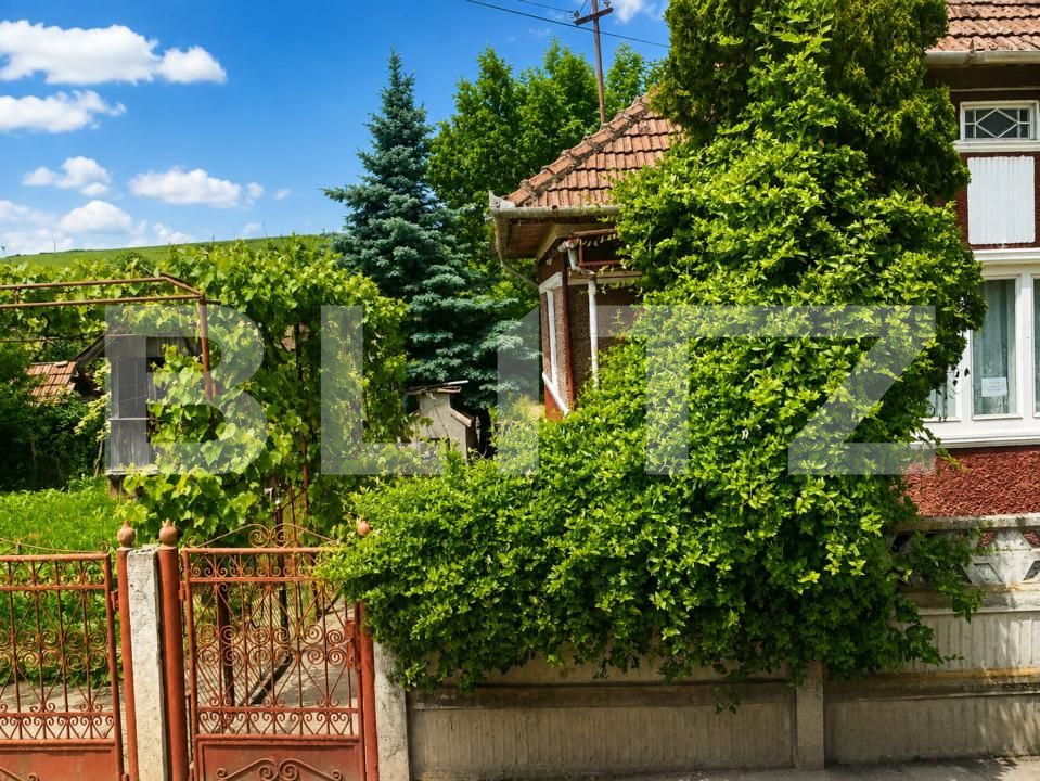 Casa de vânzare 3 camere Sarmasu - 202153CV | BLITZ Târgu Mureș | Poza8
