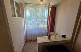 Garsonieră de vânzare, 29 mp, zona Aleea Carpati