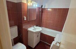 Garsonieră de vânzare, 29 mp, zona Aleea Carpati