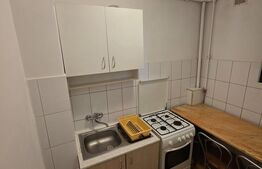 Garsonieră de vânzare, 29 mp, zona Aleea Carpati